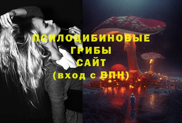 PSILOCYBIN Покров