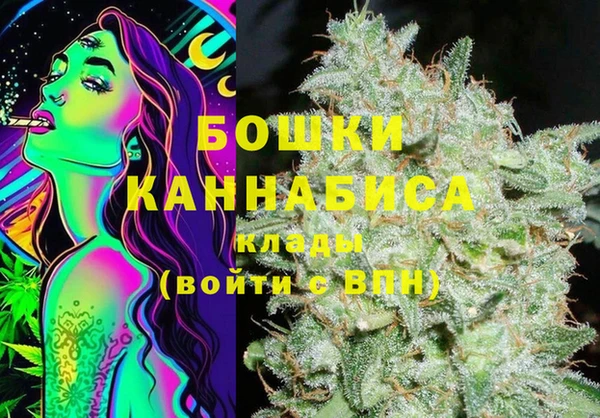 стаф Козельск