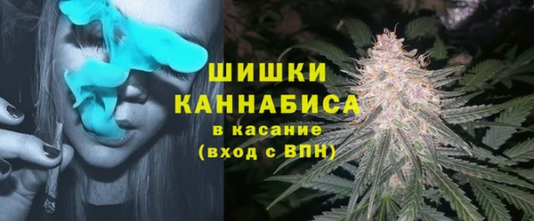 кокс Корсаков
