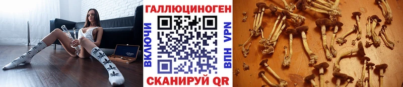 Псилоцибиновые грибы Psilocybine cubensis  Красноперекопск 